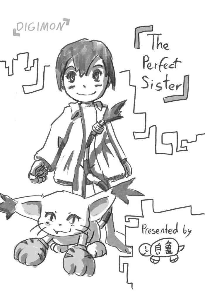 Bareback The perfect Sister - Digimon adventure Italian