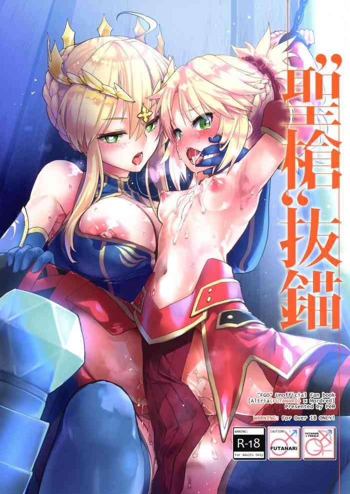 Pareja "Seisou" Batsubyou - Fate grand order Nice Tits