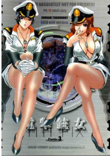 Hard Core Sex Torikorogy 3- Gundam Seed Hentai HD