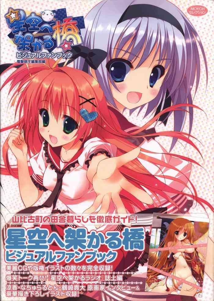 Homosexual Hoshizora e Kakaru Hash visual fanbook Japanese
