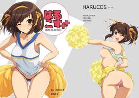 Blow Jobs Harucos++ - The melancholy of haruhi suzumiya Cumshot