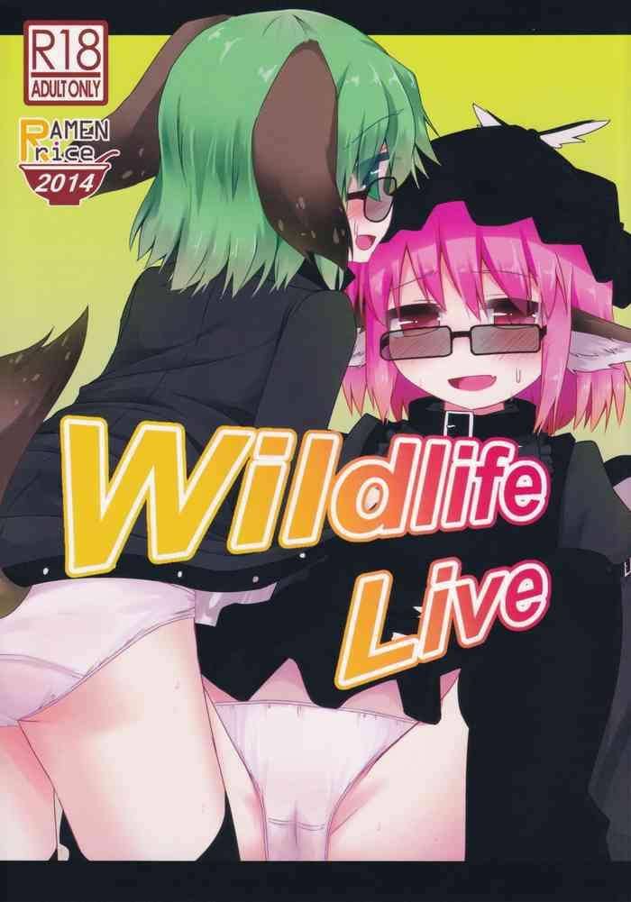 Pussy Eating Wildlife Live Touhou Project Hung