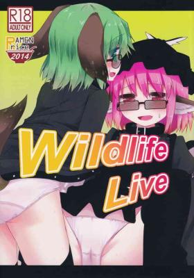 Sextoys Wildlife Live - Touhou project Firsttime