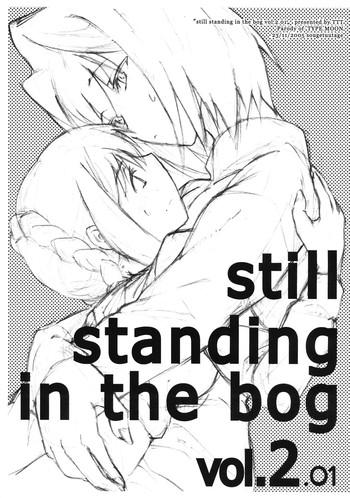 Young Tits still standing in the bog vol.2 - Fate stay night Titty Fuck