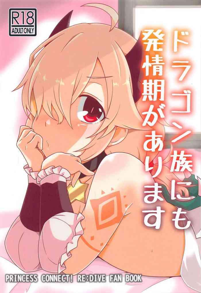 Beautiful Dragon-zoku ni mo Hatsujouki ga Arimasu - Princess connect Gay Bareback