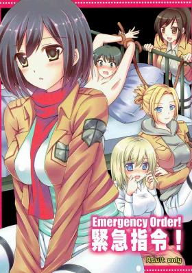Romantic Kinkyuu Shirei! | Emergency Order! - Shingeki no kyojin Stud
