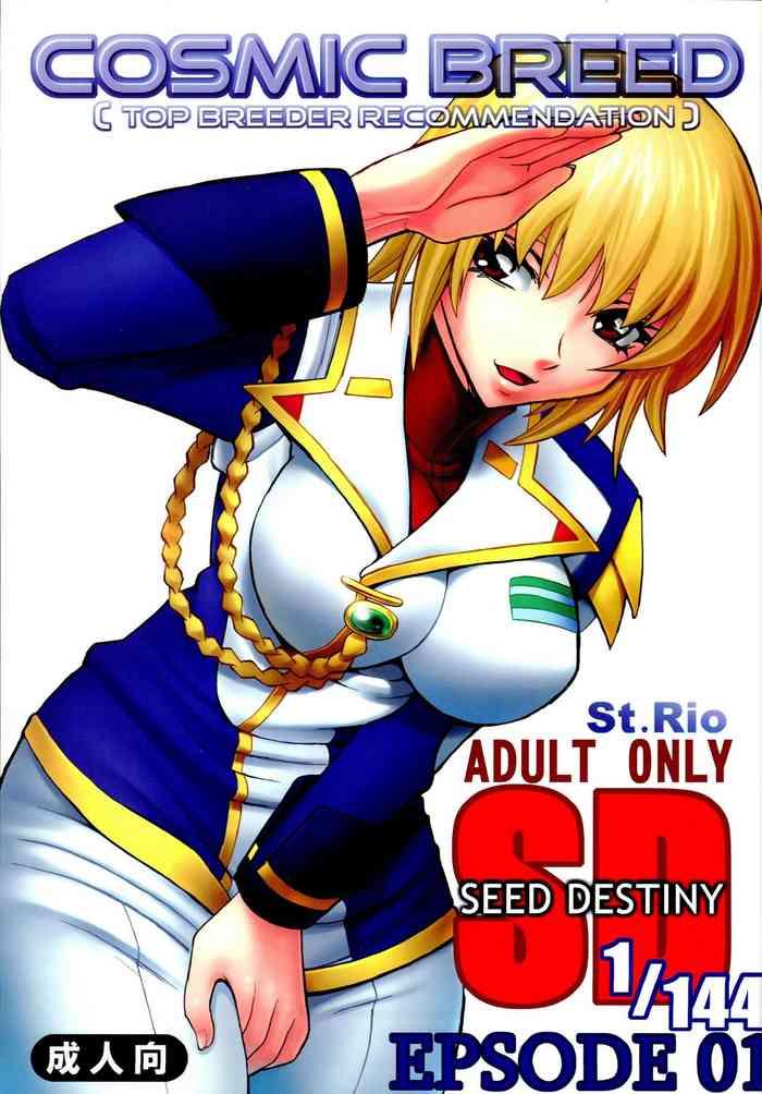 Nena Cosmic Breed Epsode 01 - Gundam seed destiny Massage Creep