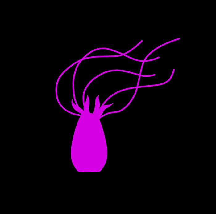 Femdom Pov Pink Tentacle Creature - Original Petera