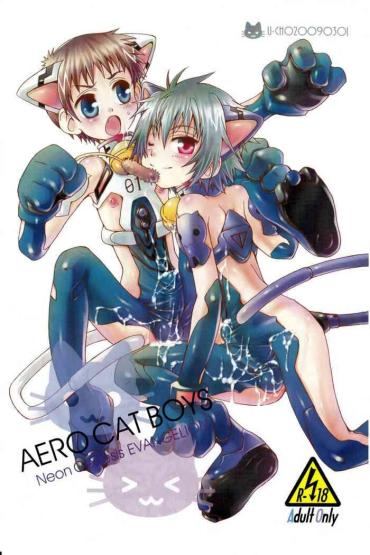 Taboo Aero Cat Boys- Neon Genesis Evangelion | Shin Seiki Evangelion Hentai Porn Amateur
