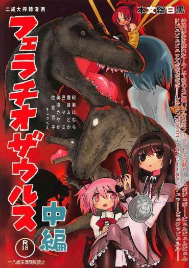 Joven Fellatiosaurus VS Mahou Shoujo Chuuhen Puella Magi Madoka Magica TheSuperficial