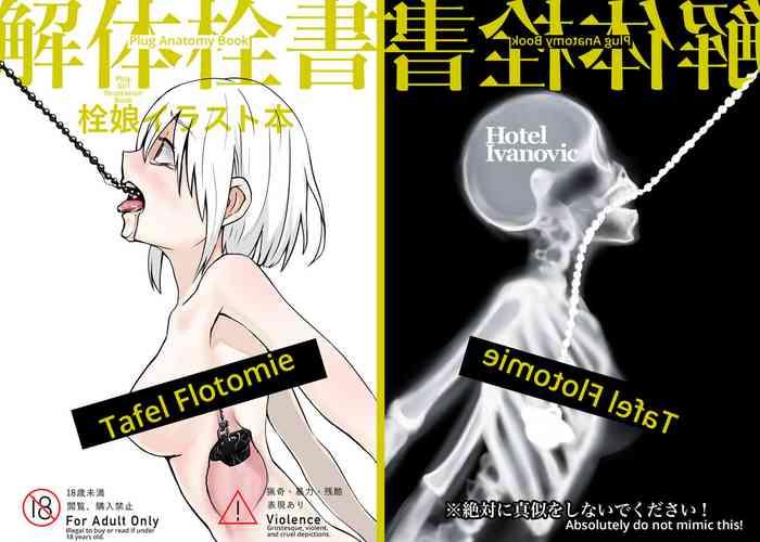 Nalgona Kaitai Sensho | Plug Anatomy Book Original Rubbing