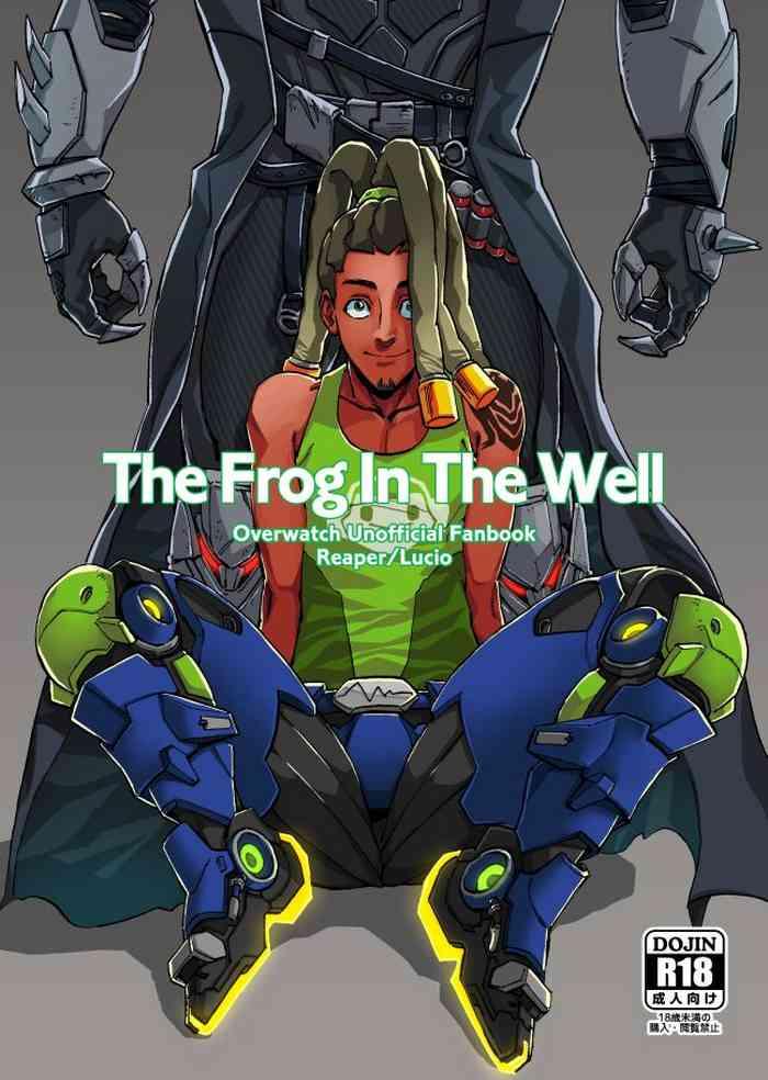 Mojada The Frog In The Well - Overwatch Chibola
