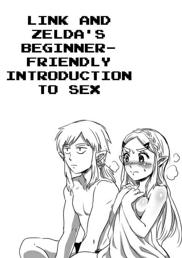 Bigdick Link to Zelda no Shoshinsha ni Yasashii Sex Nyuumon | Link and Zelda's Beginner-friendly Introduction To Sex - The legend of zelda Rough Sex