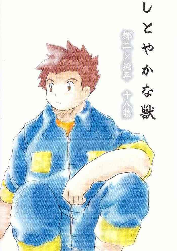 Hungarian MAGICAL SCAN. - Digimon frontier Hermosa