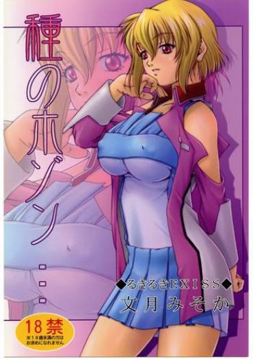 Camwhore Tane No Hozon ...- Gundam Seed Destiny Hentai Gundam Seed Hentai Tgirl