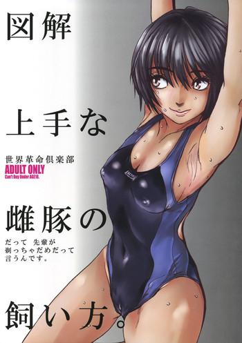 HD Zukai Jyouzuna Mesubuta no Kaikata- Amagami hentai Anal Sex