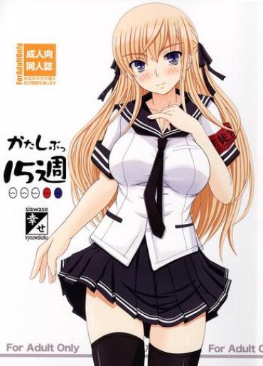 Lez Hardcore Katashibu 15-shuu Missionary