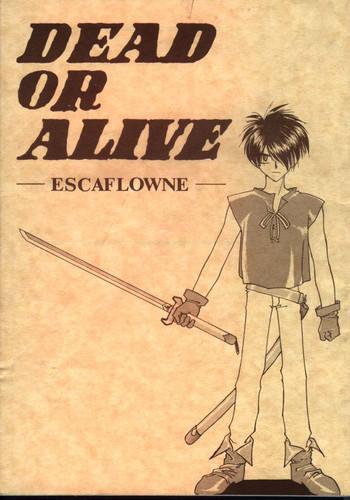 Affair Dead or Alive - The vision of escaflowne Bbw