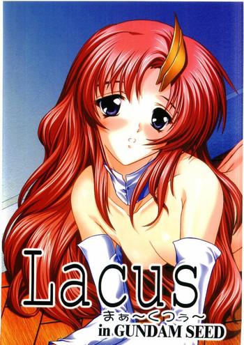 Relax Lacus Mark Two / Lacus ma Kutou - Gundam seed Blowjob