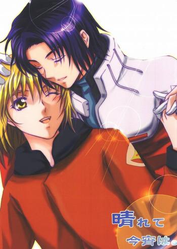 Gay Trimmed Harete Koyoiha - Gundam seed Classic