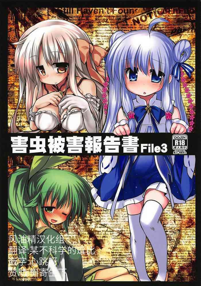 Penetration Gaichuu Higai Houkokusho File 3 - Flower knight girl Cheat