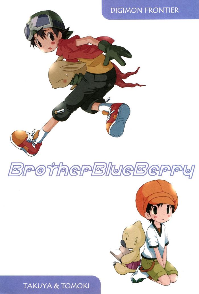 Couples Brother Blue Berry - Digimon Digimon frontier This