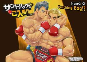 Dokudenpa Jushintei - Kobucha Omaso – Need A Punching Bag!?