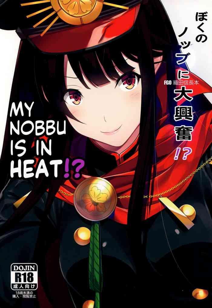 Fucking Hard Boku No Nobbu Ni Daikoufun!? | My Nobu Is In Heat?! Fate Grand Order SankakuComplex