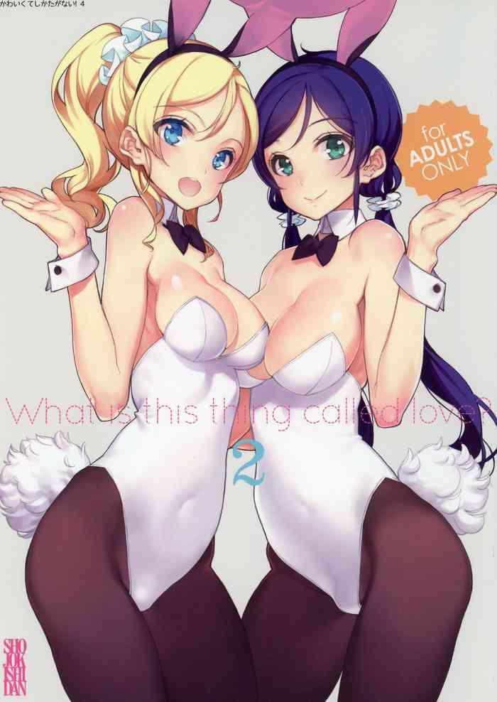 Pale What is this thing called love? 2 - Love live College