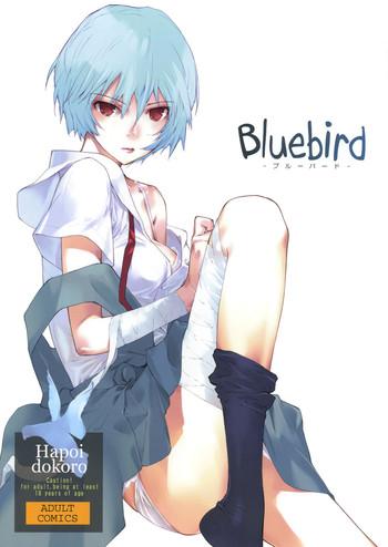 Casting Bluebird - Neon genesis evangelion Spy Cam