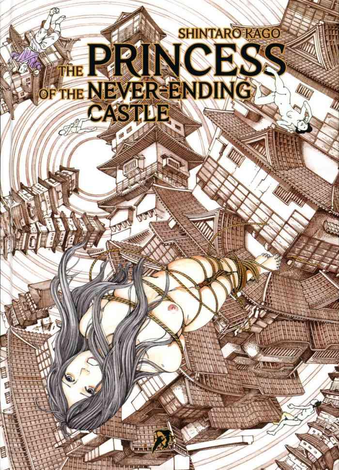 Princess of the Never Ending Castle