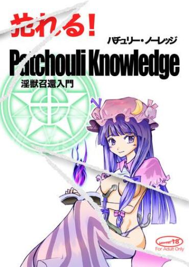 xBabe Yareru! Patchouli Knowledge Touhou Project Cei