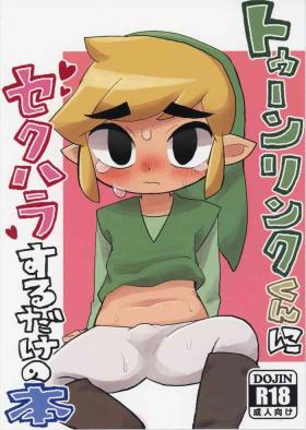 Toon Link's Book of Sexual Harassment