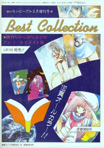 Housewife Lemon People 1985-02 Zoukangou Vol. 38 Best Collection Mulher