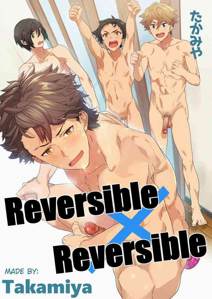 Reversible x Reversible