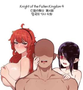 Knight of the Fallen Kingdom 4
