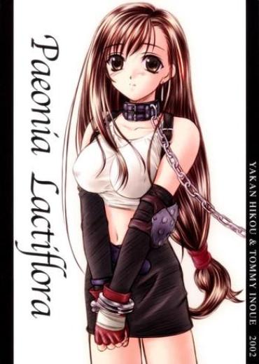 Teitoku Hentai Paeonia Lactiflora- Final Fantasy Vii Hentai Schoolgirl
