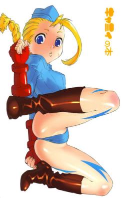 Missionary Cammy no Hon - Street fighter Roludo