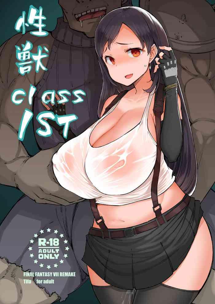 Seijuu class 1st