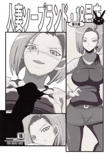 Internal (C78) [Youkai Tamanokoshi (CHIRO)] Hitozuma Soapland 18-Gou Ten Dounyuu-hen (Dragon Ball Z)- Dragon Ball Hentai Hiddencam