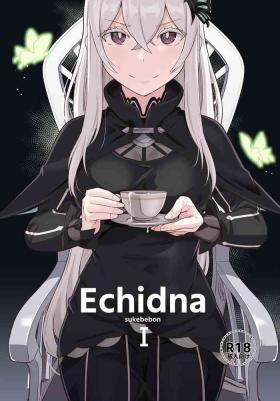 Chat Echidna sukebebon I - Re zero kara hajimeru isekai seikatsu Travesti