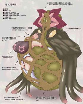 魔物図鑑18「華達磨」