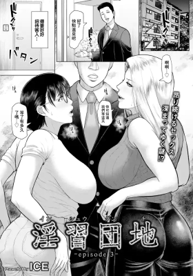 Inshuu Danchi
