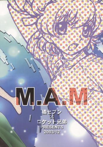 Long Hair M.A.M. - Neon genesis evangelion Sakura taisen Read or die Huge