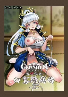 Genshin Impact Collection