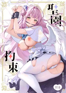 Misono Kousoku | Misono Restraint