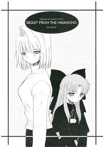 Gay Cumshot BEAST FROM THE MISAKICHO - Tsukihime Threesome