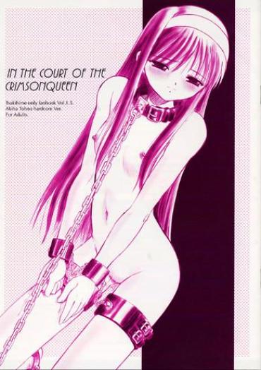 Ginger IN THE COURT OF THE CRIMSONQUEEN Tsukihime Sfico