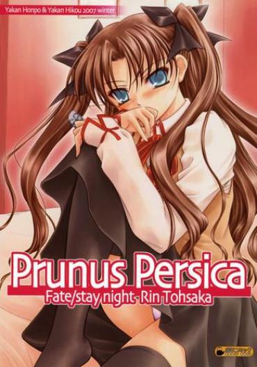 Orgasmus Prunus Persica- Fate Stay Night Hentai Bukkake