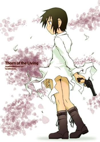 Mom Thorn of the Living + Red Asunder - Kino no tabi Underwear